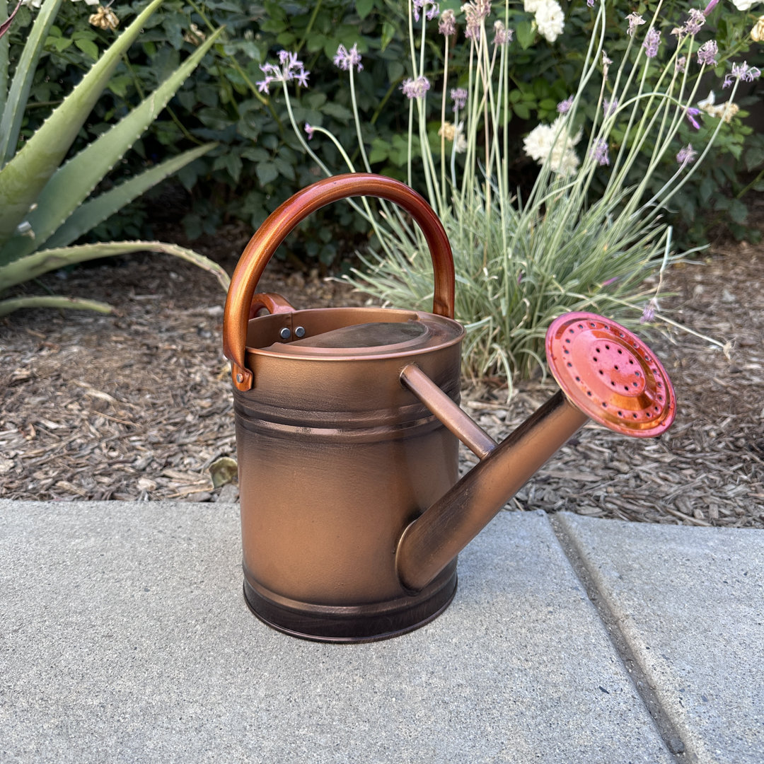 Lexi Home Watering Can Gardening Tools